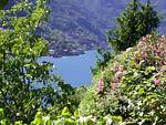Landschaft - Musica Aperol - Top-Hundeurlaub