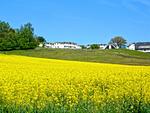 Landschaft - FeWo77: Terrasse, Sauna, Schwimmbad - Top-Hundeurlaub