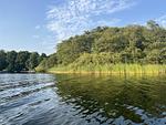 Schaalseeblick - Top-Hundeurlaub