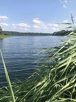Schaalseeblick - Top-Hundeurlaub