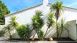 outside - Ferienhaus für 10 Personen (84 m²) - Top-Hundeurlaub