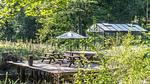 outside - Ferienhaus für 38 Personen (670 m²) - Top-Hundeurlaub