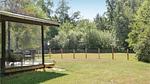 garden - Ferienhaus für 6 Personen (75 m²) in Hornbæk - Top-Hundeurlaub