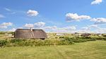Outdoor - Ferienhaus für 7 Personen (48 m²) in Ulfborg - Top-Hundeurlaub