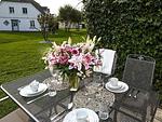 Terrasse - Ferienpark Seepferdchen, Haus Zingst 20a - Top-Hundeurlaub