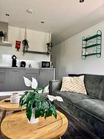 Chalet Wellness Hideaway Haus Nr. 402 - Top-Hundeurlaub