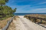 Strand - Ferienwohunung Dünenwald - Top-Hundeurlaub