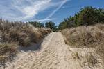 Strand - Ferienwohunung Dünenwald - Top-Hundeurlaub