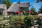 Hauptansicht - Hello Holidays: Segel setzen | Seeterrasse | Sauna - Top-Hundeurlaub