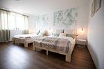 Schlafzimmer - Hello Holidays: Penthouse | BBQ | Balkon | Parkplatz - Top-Hundeurlaub