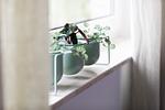 Schlafzimmer - Hello Holidays: Penthouse | BBQ | Balkon | Parkplatz - Top-Hundeurlaub