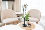 Wohnzimmer - Hello Holidays: Windbrecher | Terrasse | Sauna | Park - Top-Hundeurlaub