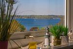 Meerblick - fewo1846 - Del Mar - Top-Hundeurlaub