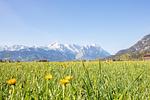 Berge - Ausblick - Top-Hundeurlaub