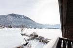 Ausblick - Top-Hundeurlaub