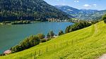 Direkte Umgebung [Sommer] (<1 km) - Ferienhaus für 9 Personen (120 m²) - Top-Hundeurlaub