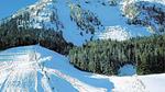 Direkte Umgebung [Winter] (<1 km) - Ferienhaus für 7 Personen (60 m²) - Top-Hundeurlaub
