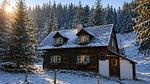Außenseite Ferienhaus [Winter] - Ferienhaus für 7 Personen (60 m²) - Top-Hundeurlaub
