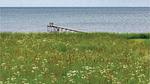 view-from-room - Ferienhaus für 6 Personen (100 m²) in Kalundborg - Top-Hundeurlaub