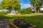 Garten - fewo1846 - Am Noor - Top-Hundeurlaub