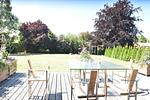 Terrasse - fewo1846 - Blatt & Blüte - Top-Hundeurlaub
