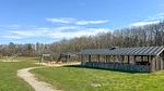 house - Ferienhaus für 4 Personen (63 m²) - Top-Hundeurlaub