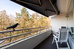 Balkon - Appartement 645 - Top-Hundeurlaub