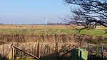 Ferienhaus Dinas Huus - Top-Hundeurlaub