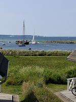 Landschaft - Ferienhaus "Strandgut" Marina Wendtorf - Top-Hundeurlaub