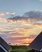 Landschaft - Ferienhaus "Strandgut" Marina Wendtorf - Top-Hundeurlaub