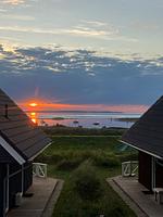 Landschaft - Ferienhaus "Strandgut" Marina Wendtorf - Top-Hundeurlaub