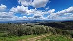 AreaSummer20KM - Villa für 5 Personen (90 m²) in Cavriglia - Top-Hundeurlaub