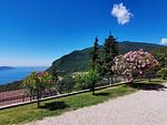 Casa Rosella, Apt. 2 - Top-Hundeurlaub