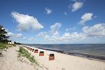 Strand - Haus: Terrasse - Top-Hundeurlaub