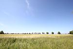 Landschaft - Haus: Terrasse - Top-Hundeurlaub