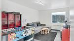 activities - Ferienhaus für 9 Personen (134 m²) in Broager - Top-Hundeurlaub