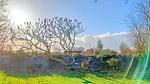 outside - Ferienhaus für 6 Personen (120 m²) in Brouwershaven - Top-Hundeurlaub