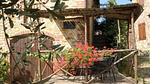 ExteriorSummer - Ferienwohnung für 5 Personen (80 m²) - Top-Hundeurlaub