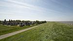 ExteriorSummer - Ferienhaus für 4 Personen (35 m²) in Hippolytushoef - Top-Hundeurlaub
