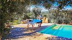 activities - Ferienhaus für 15 Personen (250 m²) in Ostuni - Top-Hundeurlaub