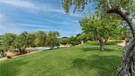 pool - Ferienhaus für 15 Personen (250 m²) in Ostuni - Top-Hundeurlaub