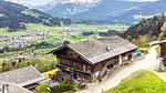 Außenseite Ferienhaus [Sommer] - Ferienwohnung für 8 Personen (75 m²) - Top-Hundeurlaub