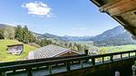 Aussicht vom Ferienhaus [Sommer] - Ferienwohnung für 8 Personen (75 m²) - Top-Hundeurlaub