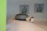 Dekoratives Detail - App.223 - Strandlage - Top-Hundeurlaub