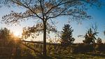 GardenSummer - Ferienwohnung für 5 Personen (60 m²) - Top-Hundeurlaub
