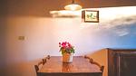 LivingRoom - Ferienwohnung für 5 Personen (60 m²) - Top-Hundeurlaub