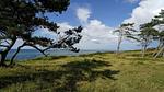 Untagged - Ferienhaus für 7 Personen (80 m²) in Gilleleje - Top-Hundeurlaub