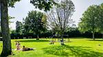 house - Ferienhaus für 4 Personen (40 m²) in Heinkenszand - Top-Hundeurlaub