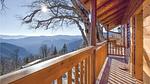 outside - Ferienhaus für 5 Personen (90 m²) in San Donato - Top-Hundeurlaub