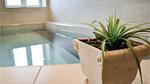 pool - Ferienhaus für 22 Personen (318 m²) in Skjern - Top-Hundeurlaub
